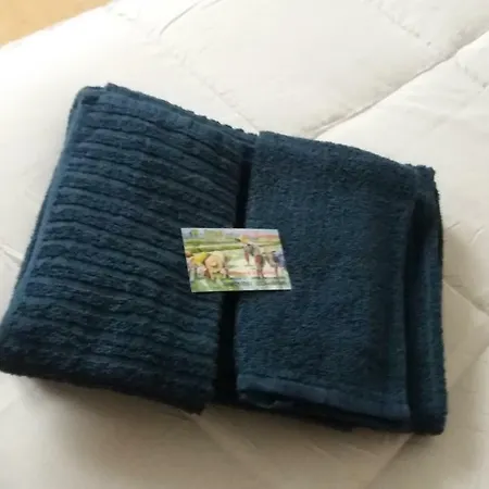 Pensión Le Mondine Molinella